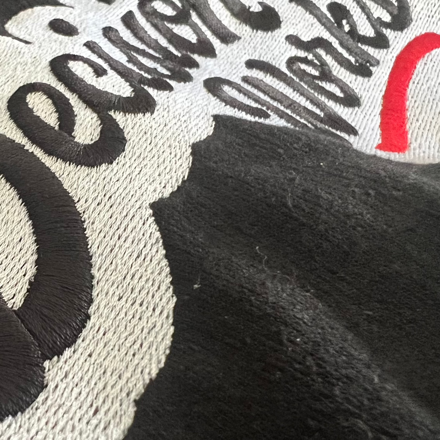 Embroidered Vintage BDW Logo Hoodie