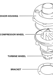 Turbo Anatomy Poster