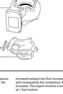 Turbo Anatomy Poster