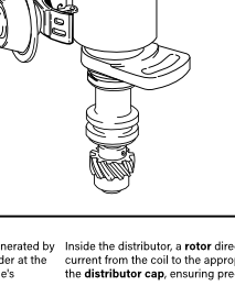 Distributor Anatomy Poster